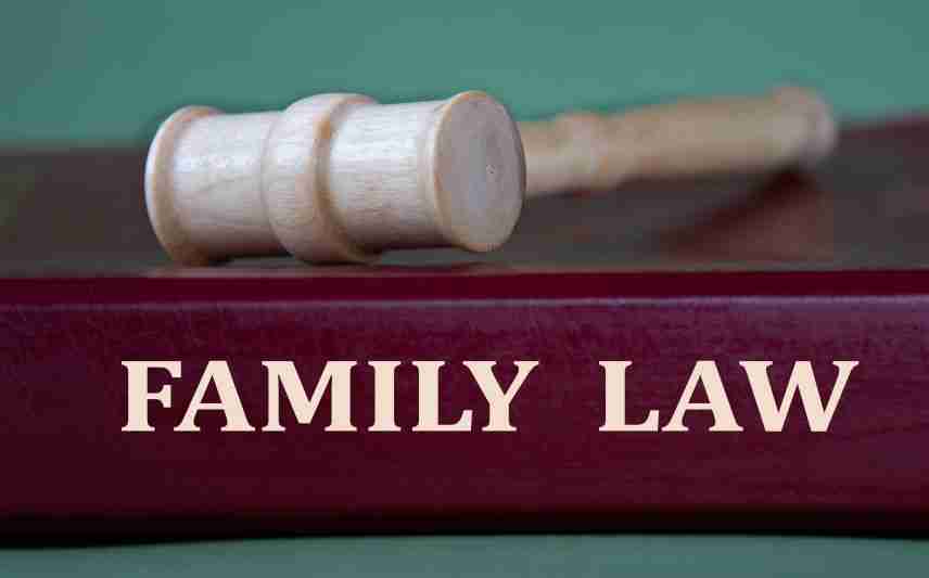 family law book with small gavel