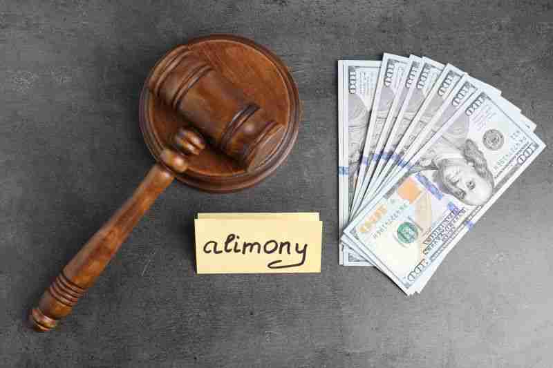 gavel and money on grey background